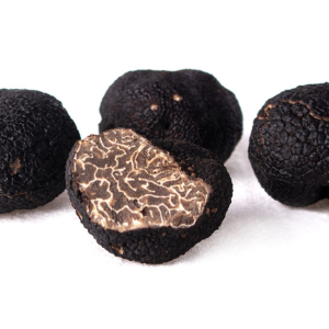 Winter Truffle (Tuber Brumale)